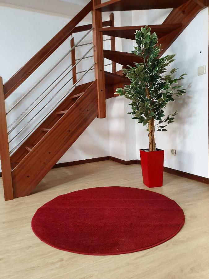 Casa Dos Arcos Apartment Aveiro